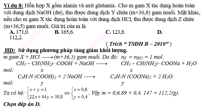 AMIN – AMINO AXIT - PROTEIN14.png
