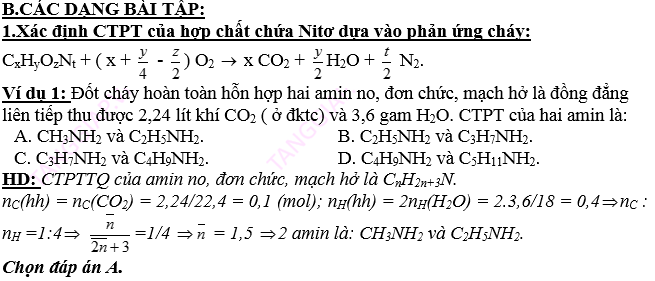 AMIN – AMINO AXIT - PROTEIN8.png