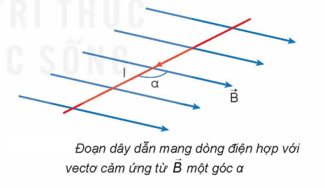 Biểu thức độ lớn của lực từ.png