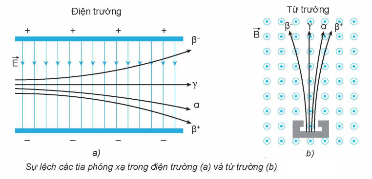 Các dạng phóng xạ.png