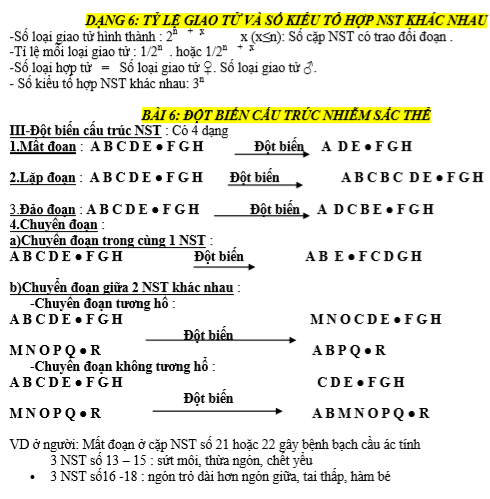 Chuyên đề nhiễm sắc thể (3).png