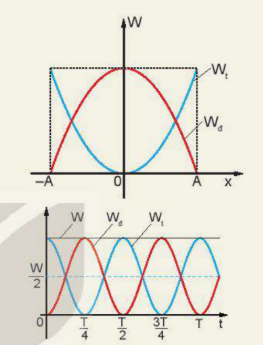 CƠ NĂNG TRONG DAO ĐỘNG ĐIỀU HÒA.png