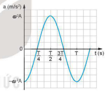 đồ thị Gia tốc của vật dao động điều hòa.png
