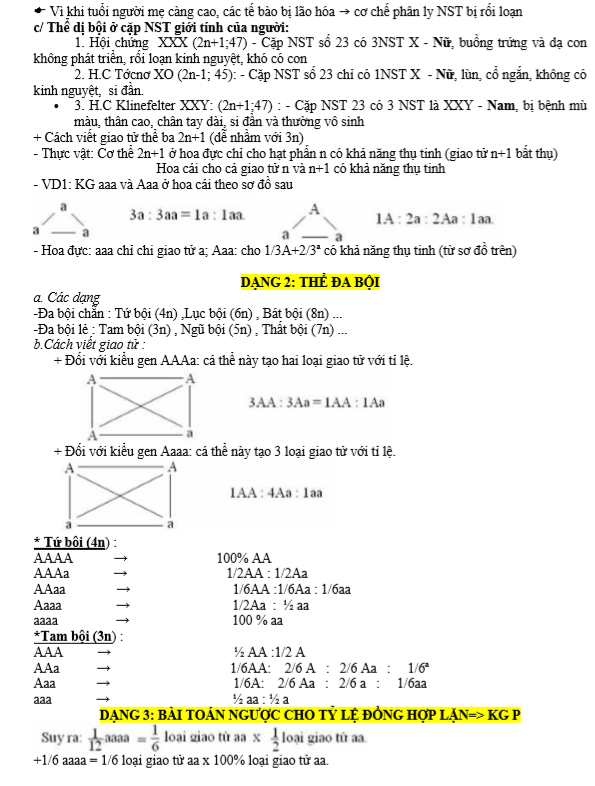 Đột biến lượng nhiễm sắc thể (2).PNG
