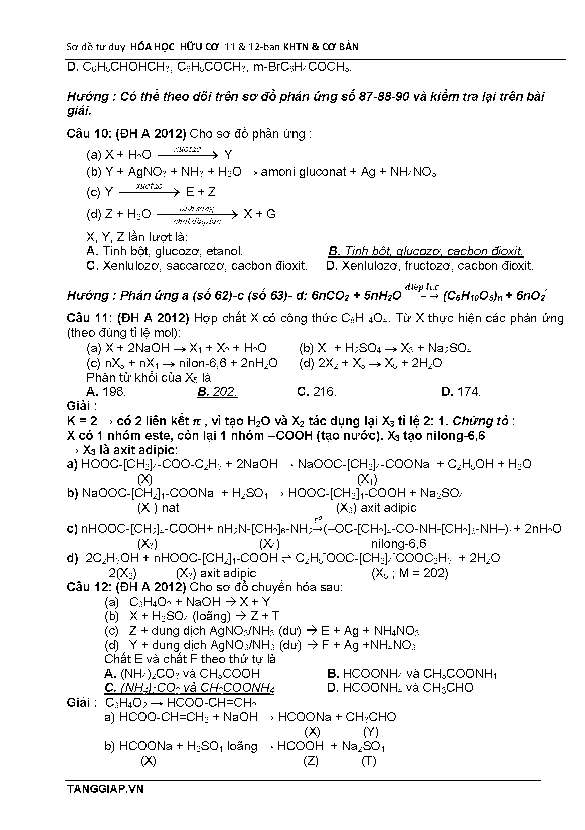 So do phan ung huu co 1112 full_Page_7.png